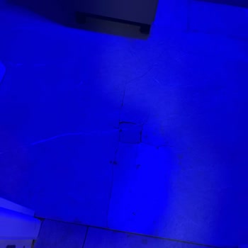 Masal Sarıyer Bungalov Çok Bakımsız Ve Personel Saygısız!