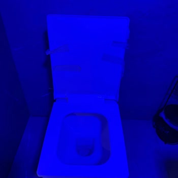 Masal Sarıyer Bungalov Çok Bakımsız Ve Personel Saygısız!