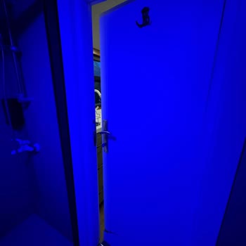 Masal Sarıyer Bungalov Çok Bakımsız Ve Personel Saygısız!