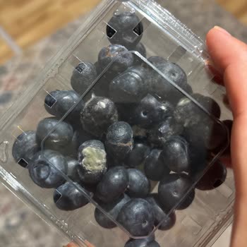 Küflü Ürün Teslimatı Ve Yetersiz Müşteri Hizmeti