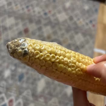 Küflü Ürün Teslimatı Ve Yetersiz Müşteri Hizmeti