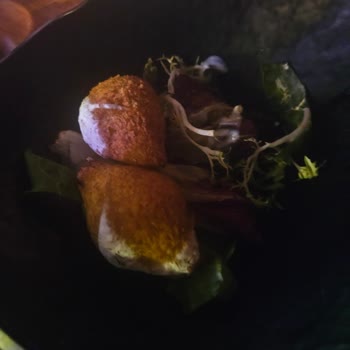 Hiltonsa Hotel Mezeler Çok Kötü Ekmek Bayat