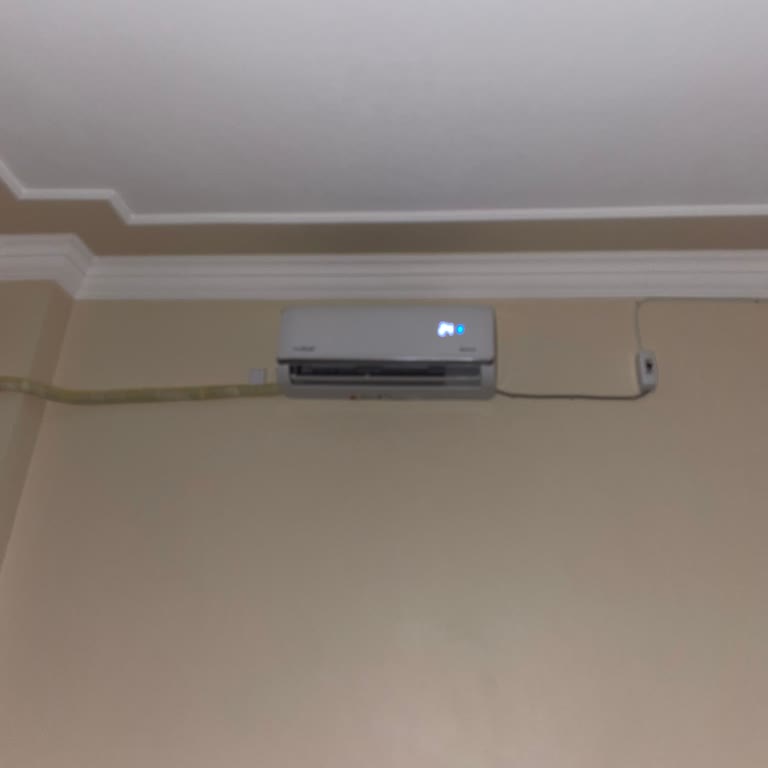 Fujiplus Klimada Yüksek Sesli Çalışma Ve Rahatsız Edici Performans Sorunu