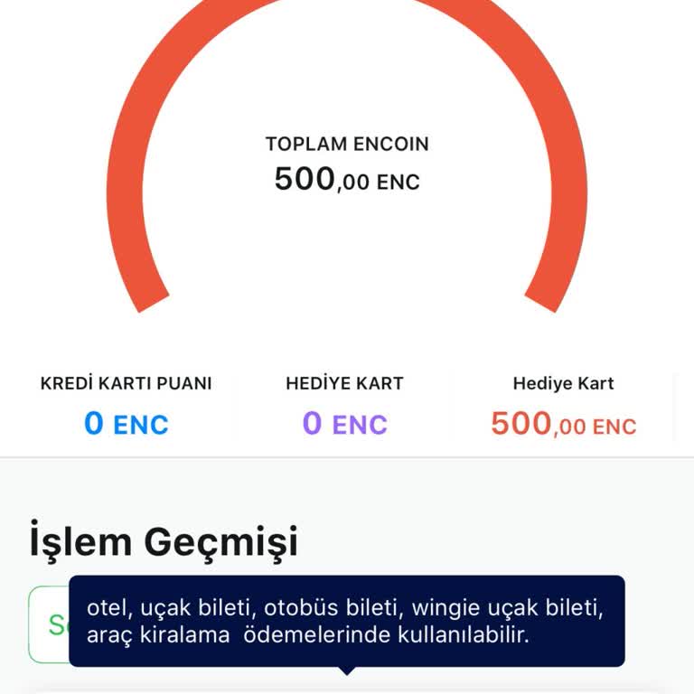 Bilet İptalinde Para İadesi Yerine Encoin Yüklenmesi Mağduriyeti