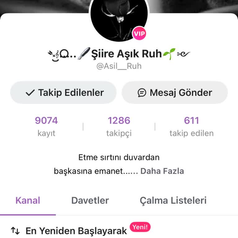 Hesap Giriş Sorunu Nedeniyle Eski Sayfama Ulaşamıyorum