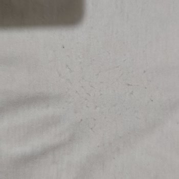 Bir Kez Giyilen T-shirtte Tüylenme Ve Para İadesi Talebi