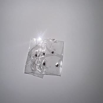 Maltepe Belediyesi İlaçlama Yapmıyor, Mahallemiz Acil Çözüm Bekliyor