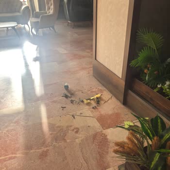 Başkent Öğretmenevinde Temizlik Ve Hizmet Büyük Hayal Kırıklığı