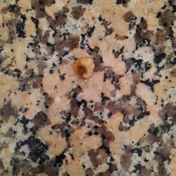 Fellas Ürününde Bozulmuş Fındıkla Karşılaştım, Güvenim Sarsıldı