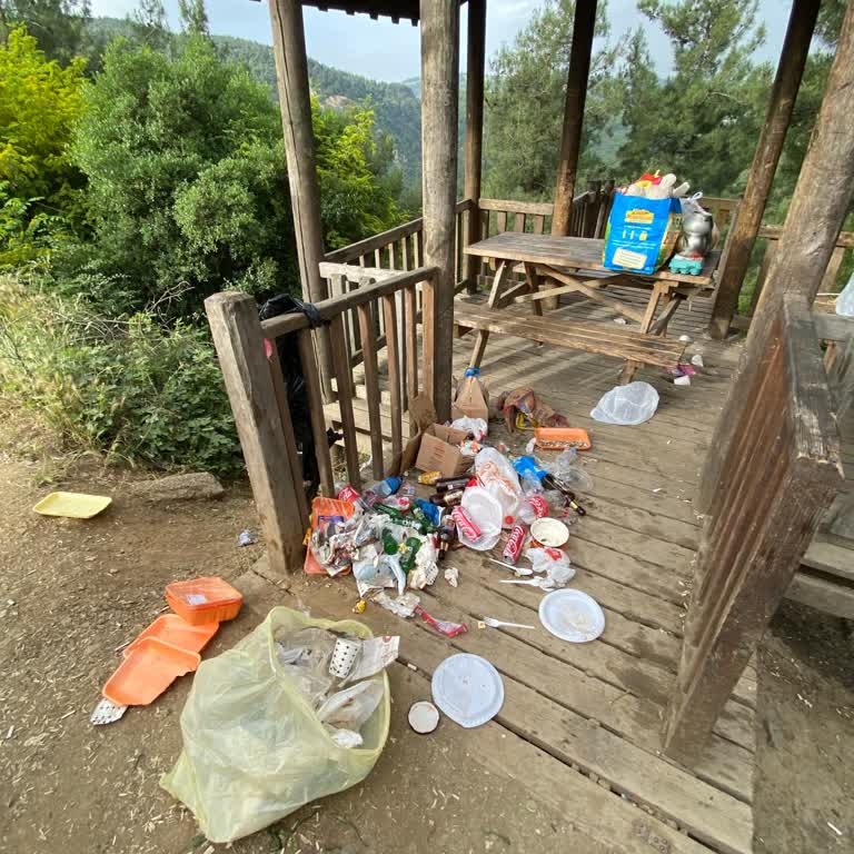 Kent Ormanında Temizlik Sorunu Ve Yüksek Giriş Ücreti