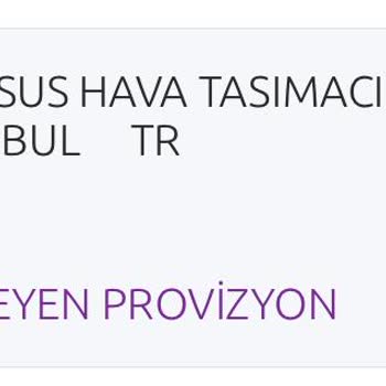 Ekstra Bagaj Ücreti Ve Organizasyon Eksikliği Nedeniyle Yaşanan Mağduriyet