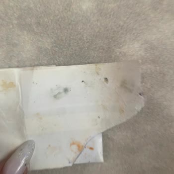 Taze Olması Gereken Sucuk Küflü Çıktı!