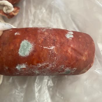 Taze Olması Gereken Sucuk Küflü Çıktı!