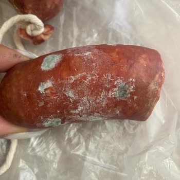 Taze Olması Gereken Sucuk Küflü Çıktı!