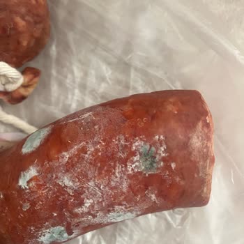 Taze Olması Gereken Sucuk Küflü Çıktı!