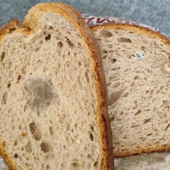 BİM Marketten Alınan Ekşi Mayalı Ekmekte Küf Şikayeti