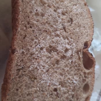 Satın Alınan Ekmekte Hızlı Bozulma Ve Sağlık Riski