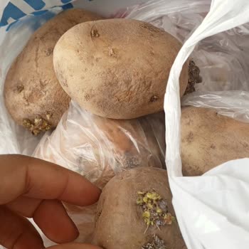 Çürük Sebzeler Ve Fazla Fatura İle Kötü Alışveriş Deneyimi