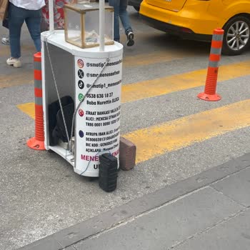 Yüksek Sesli Bağış Anonsları Ve İzinsiz Standlar Hakkında Şikayet