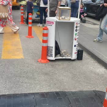 Yüksek Sesli Bağış Anonsları Ve İzinsiz Standlar Hakkında Şikayet