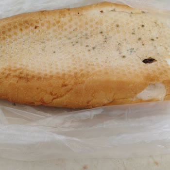 Migros Sanal Marketten Aldığım Ekmekte Böcek Çıkması Ve Yaşadığımız Sağlık Sorunu