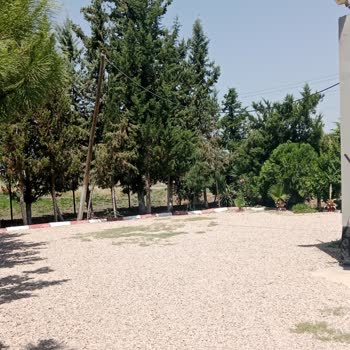 Tehlike Oluşturan Türk Telekom Direği İçin Çözüm Bekliyorum