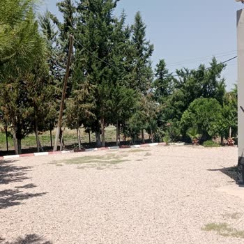 Tehlike Oluşturan Türk Telekom Direği İçin Çözüm Bekliyorum