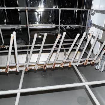 Teka Bulaşık Makinesinin Paslanan Sepetleri Sağlığımızı Tehdit Ediyor