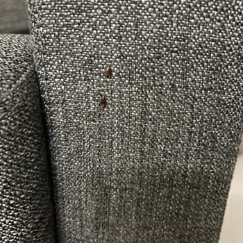 Hastanede Böceklenme Ve Yetersiz Destek Nedeniyle Mağduriyet