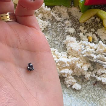 Lor Peynirinde Şok Edici Yabancı Cisim!