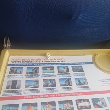 Feribotta Hijyen Eksikliği Yolculuk Keyfini Gölgeliyor