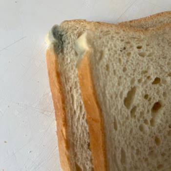 Getir Ve UNO'dan Küflü Tost Ekmeği Şoku