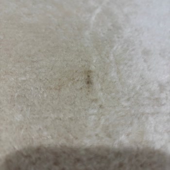 Rana Halı Koltuk Yıkama Mağdur Edildim