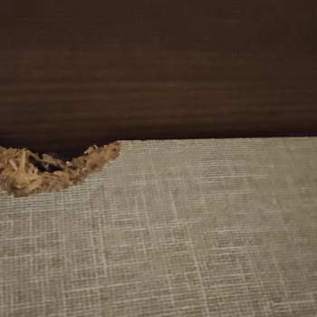 Baza Altı Kısa Sürede Kırıldı, Servis Kullanıcıyı Suçladı