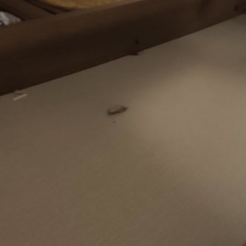 Baza Altı Kısa Sürede Kırıldı, Servis Kullanıcıyı Suçladı