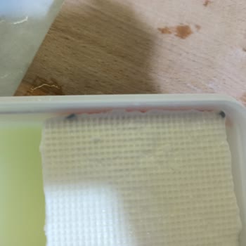 Taze Alınan Peynirin Kısa Sürede Bozulması Şaşırttı