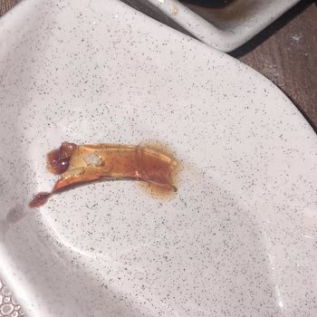 Keçi Boynuzu Özünde Yabancı Cisim Şoku: Sağlığımız Tehlikede!