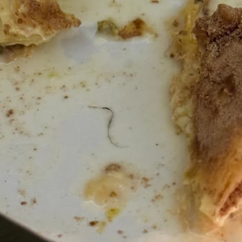 Baklavanın İçinden Kıl Çıkması Ve Müşteri Hizmetlerine Ulaşılamaması