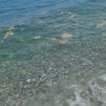 Denize Atık Bırakan Tekneler Yüzme Keyfimizi Bozdu