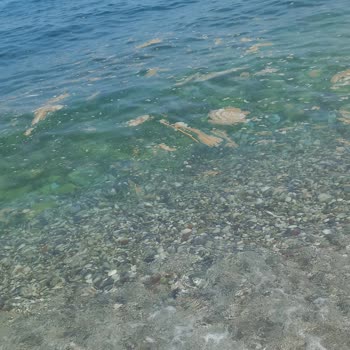 Denize Atık Bırakan Tekneler Yüzme Keyfimizi Bozdu