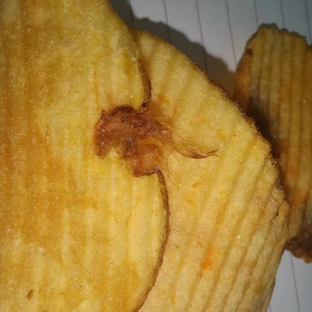 Cipso Cips Paketinden Böcek Çıktı Kimse İlgilenmedi