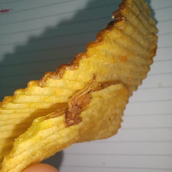 Cipso Cips Paketinden Böcek Çıktı Kimse İlgilenmedi