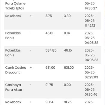 Kendi Hesaplarım Arasında Bakiye Aktardım, Param Silindi