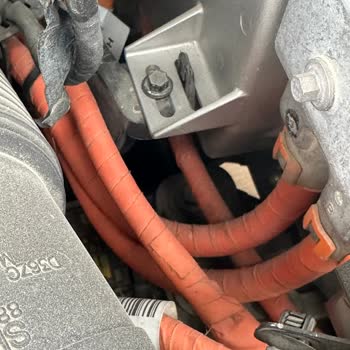 Aracın Teker Bölgesinden Kedi Girdi Sunroofta Paslanma Oluştu