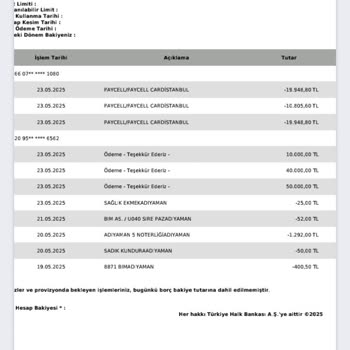 Halkbank Hesabımdan İzinsiz Para Transferi Mağduriyeti