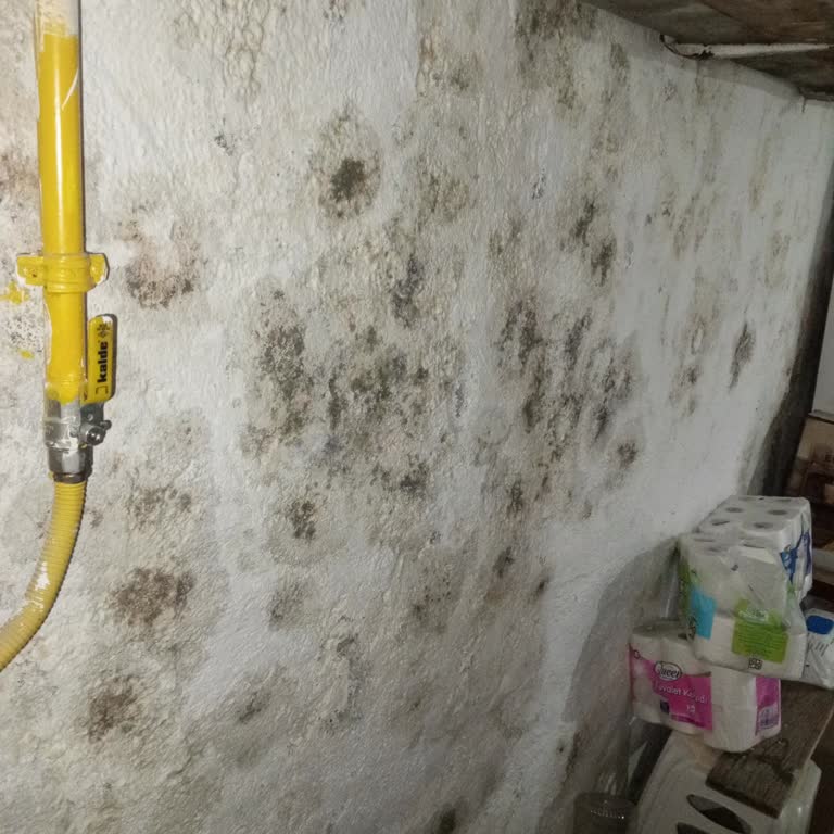 Menteşe Belediyesi Yetkilisinin İlgisiz Ve Rahat Tavrı Mağduriyetimi Artırdı