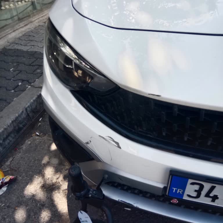 Sorumsuzca Bırakılan Martı Motoru Aracıma Zarar Verdi, Çözüm Bekliyorum