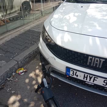 Sorumsuzca Bırakılan Martı Motoru Aracıma Zarar Verdi, Çözüm Bekliyorum