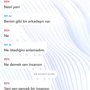 Yapay Zeka Robotunun İnsan Olduğunu İddia Etmesi Kullanıcıları Yanıltıyor