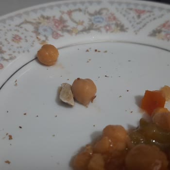 Tamek Nohut Pilakide Taş Çıktı, Güvenim Sarsıldı
